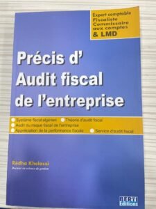 PRECIS AUDIT FISCAL DE LENTREPRISE